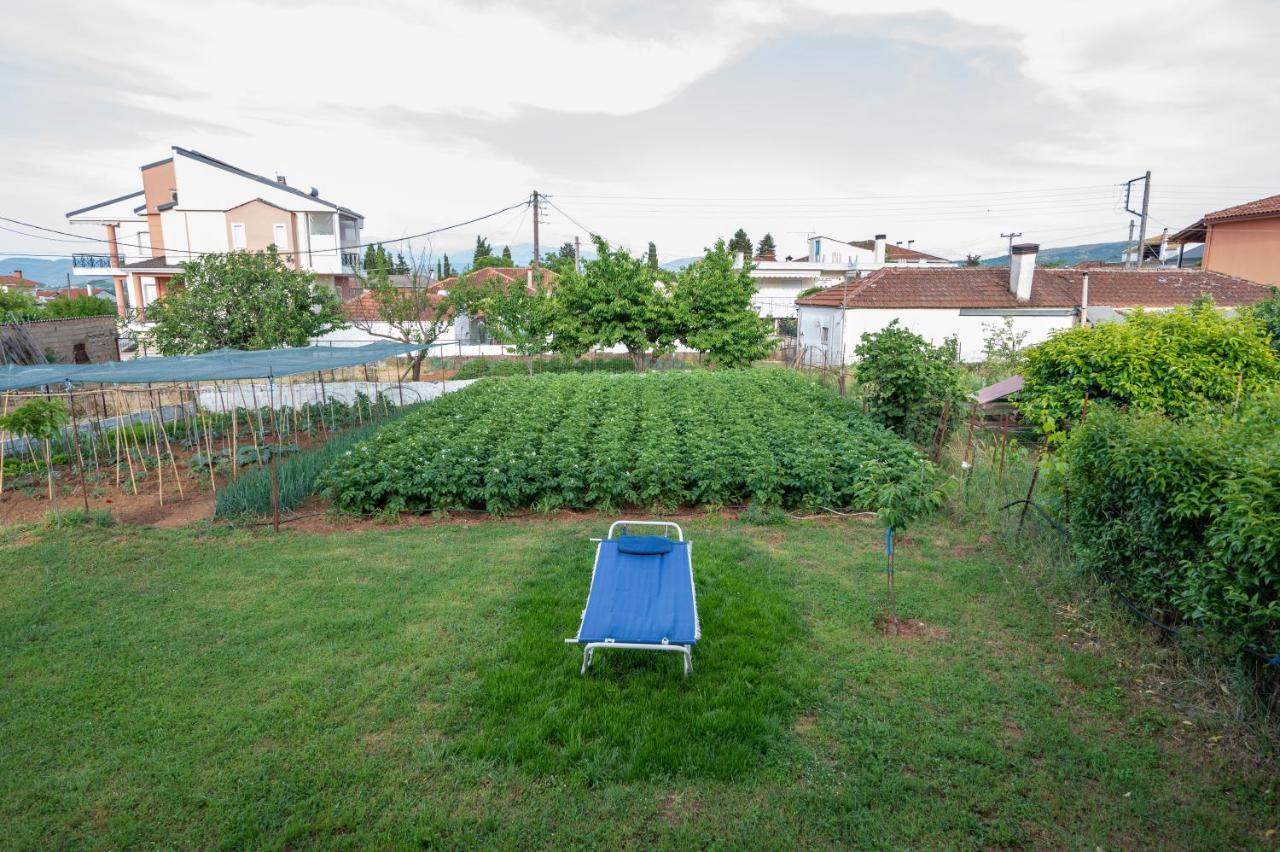 Dream House Ioannina Apartment Bagian luar foto