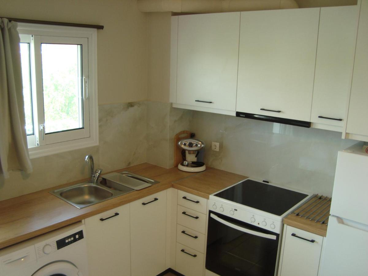 Dream House Ioannina Apartment Bagian luar foto